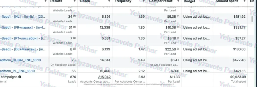 Ad account screenshot: results 876 leads